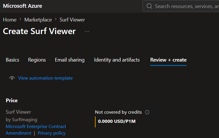Agree to terms and create Surf Viewer deployment
