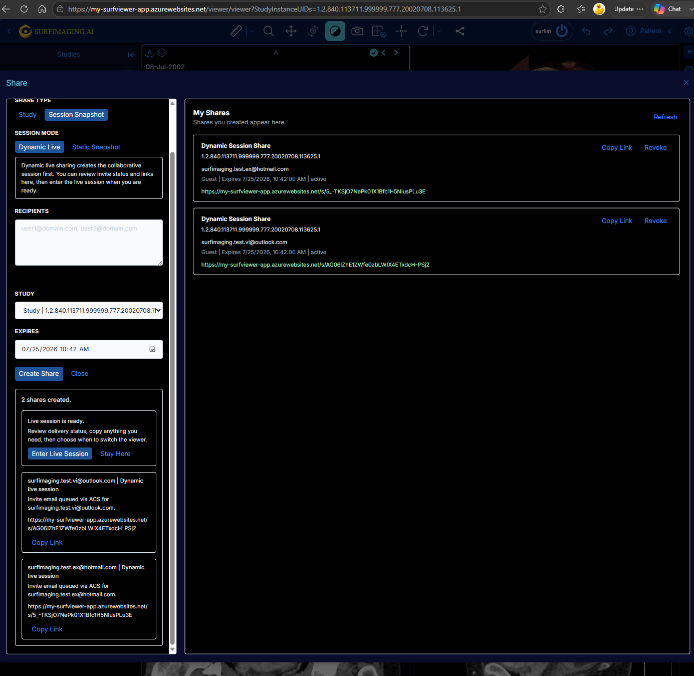 Surf Viewer sharing panel for internal and external users